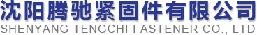 Shenyang Tengchi Fastener Co., Ltd.png